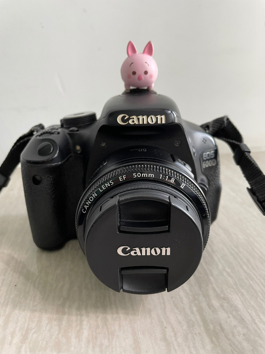 佳能600d,配小痰盂,小猪热靴盖自己配的...
