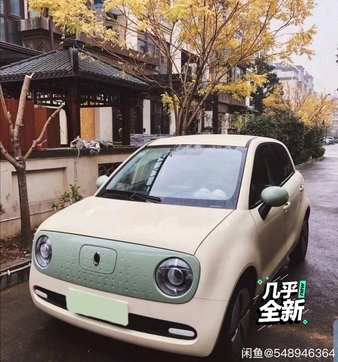 收!收!收!欧拉黑猫或白猫一台,长三角周围