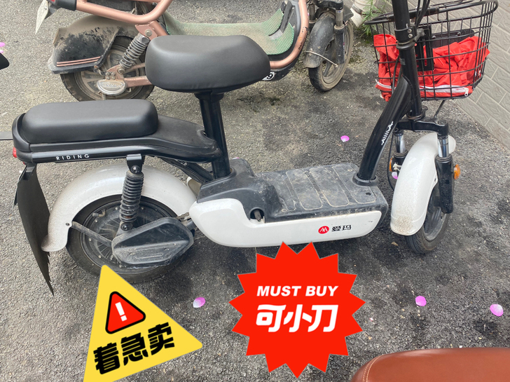 爱玛小电动车 新电瓶用了半年 因换踏...