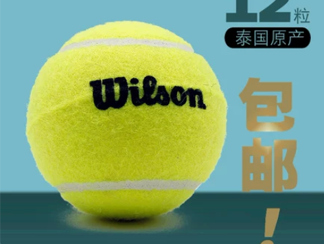 威尔胜Wilson初学网球训练球60粒袋装...