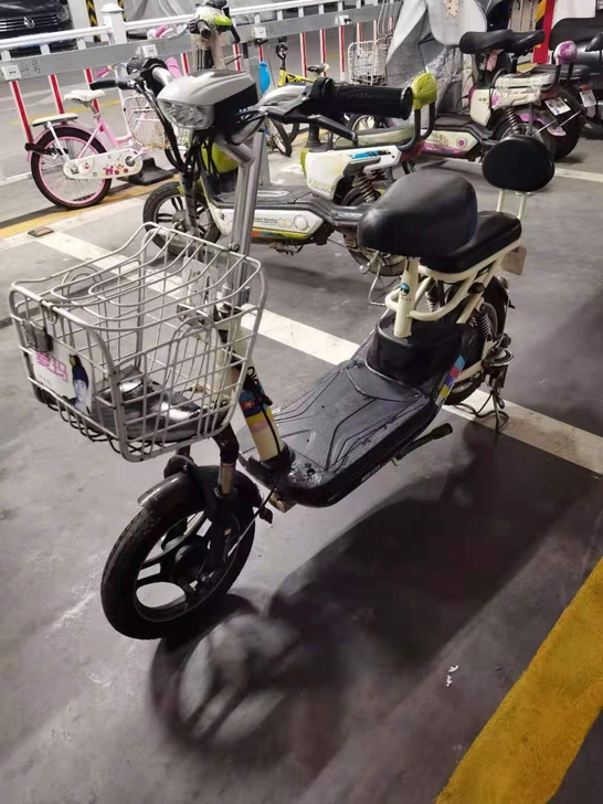 爱玛电动车，在家不经常骑，48伏12安电瓶...
