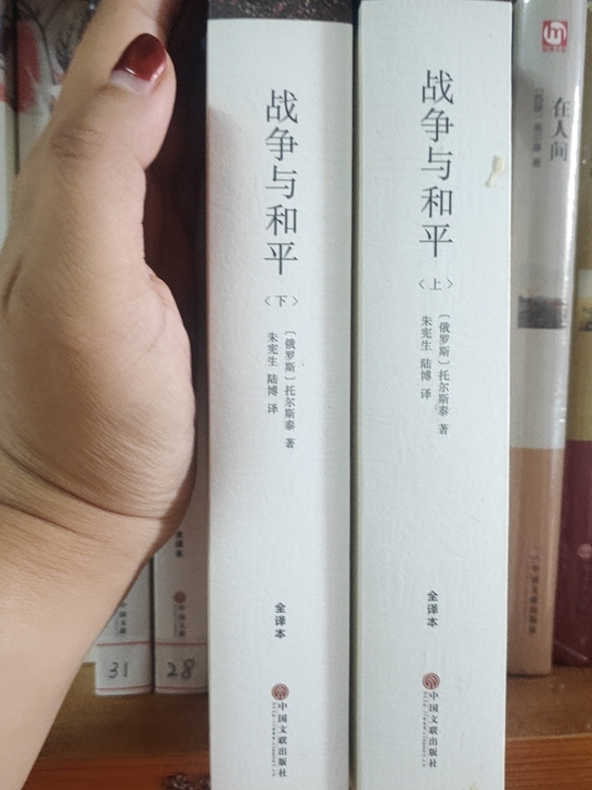 《战争与和平》几乎全新低价处理
