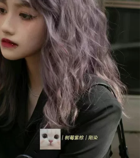 三鑫瑞倪@染发膏贩卖机 独特小众|树莓紫棕...