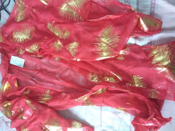 出 艺缕 汉服 女 大袖衫 红色