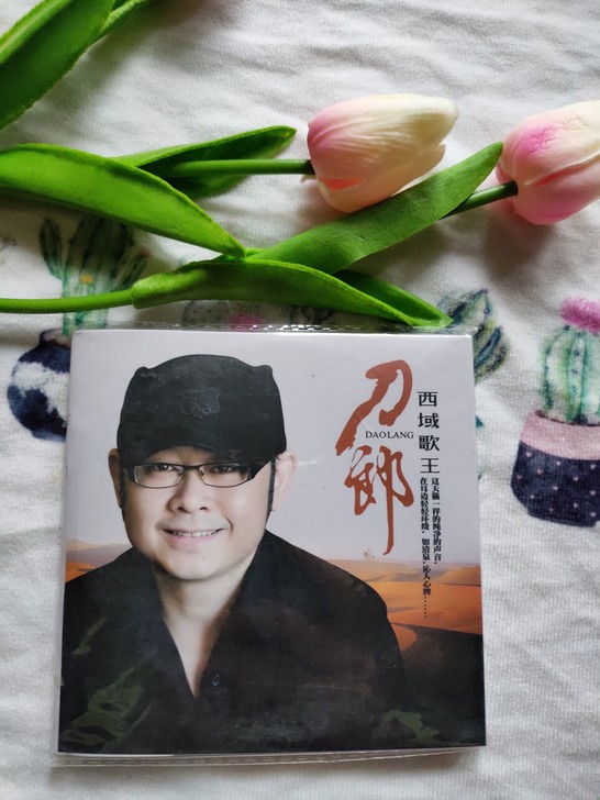 刀郎cd车载cd