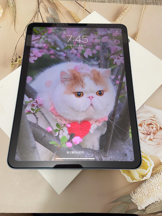 99新2020款iPad Air4 10...