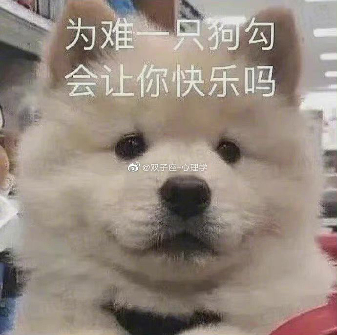 小提琴老师！