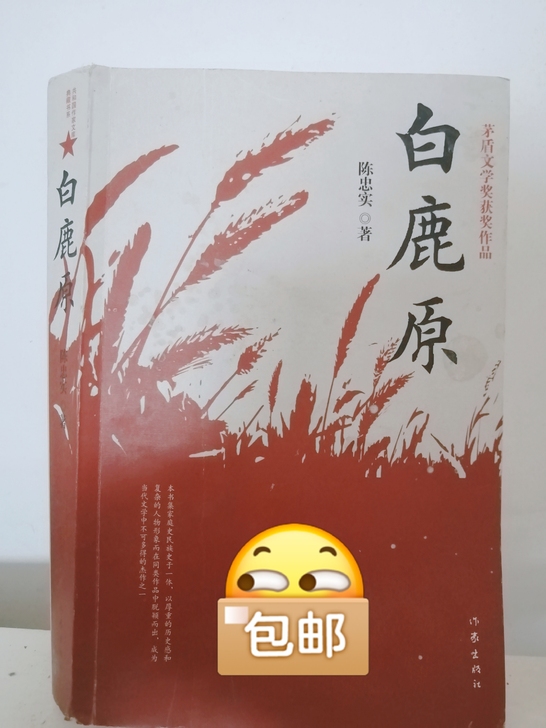 小说被认为是一个民族的秘史##amp;md...