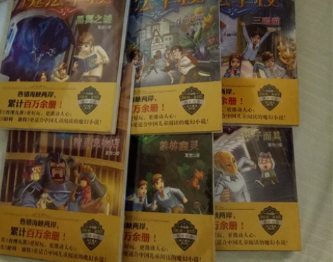 《魔法学校》六册 全新未开封 上学没时间看...