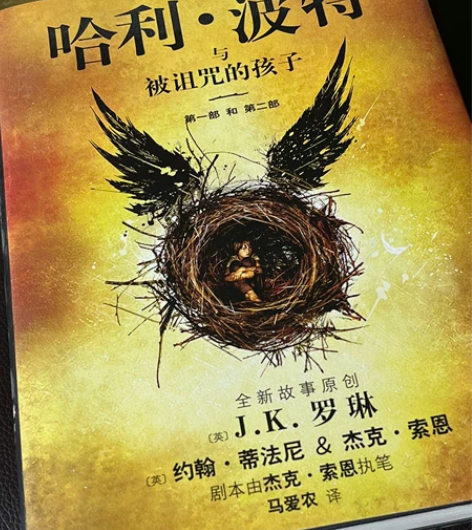 哈利波特与被诅咒的孩子 书店六十多买的 可...