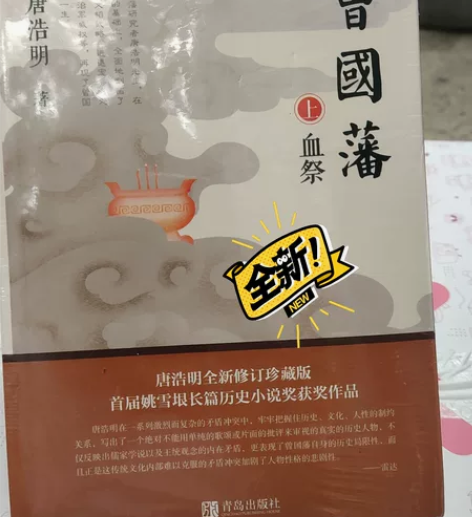 曾国藩，长篇历史小说，全新未拆封 感兴趣的...