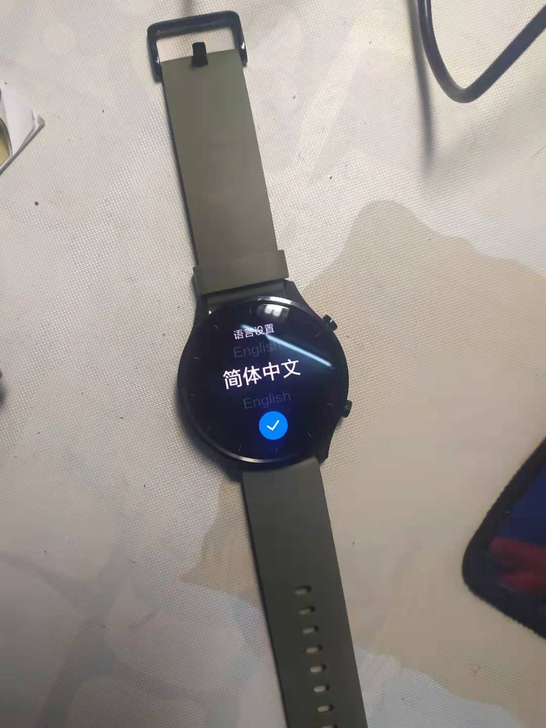 小米手表Color典雅版 （非运动版！！！...