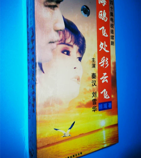海鸥飞处彩云飞 VCD 琼瑶作品 台湾连续...