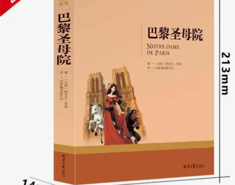 正版】巴黎圣母院 (法)维克多雨果著名 家...