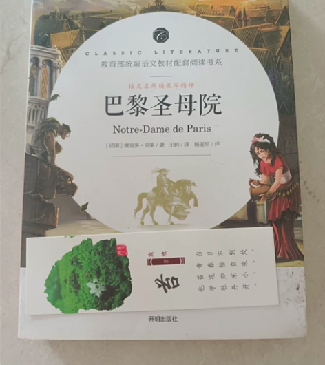 巴黎圣母院和家两把文学书籍,看完了,便宜出...