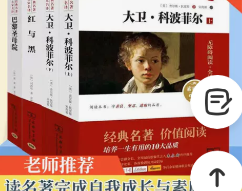 大卫科波菲尔高中课外书巴黎圣母院红与黑中学...
