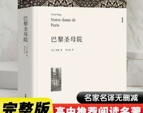 巴黎圣母院全译本带注释附插图  雨果著 正...