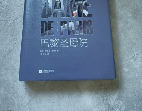 维克多.雨果《巴黎圣母院》低价出，全新 感...