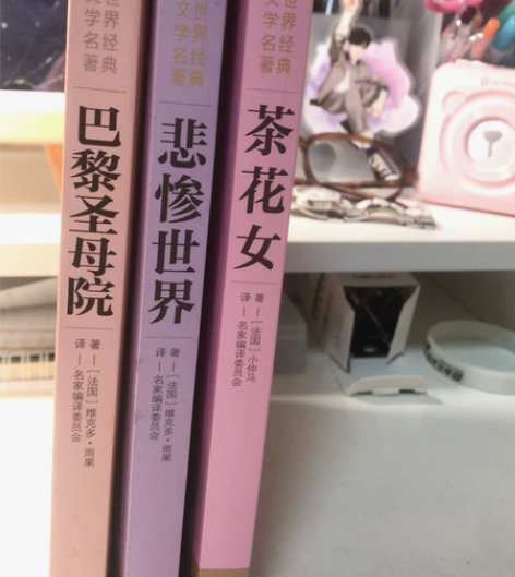 《悲惨世界》《巴黎圣母院》《茶花女》三本世...