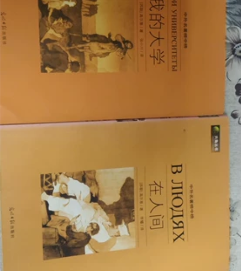 高尔基名著，中外名著榜中榜，在人间，我的大...