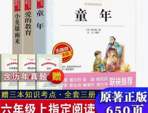 六年级上下册必读课外书童年爱的教育小英雄雨...