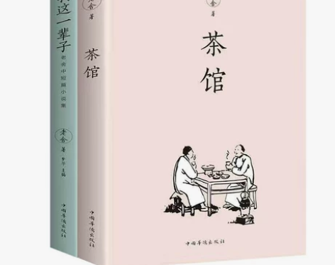闲置两本书 老舍茶馆，我这一辈子 两本书。...