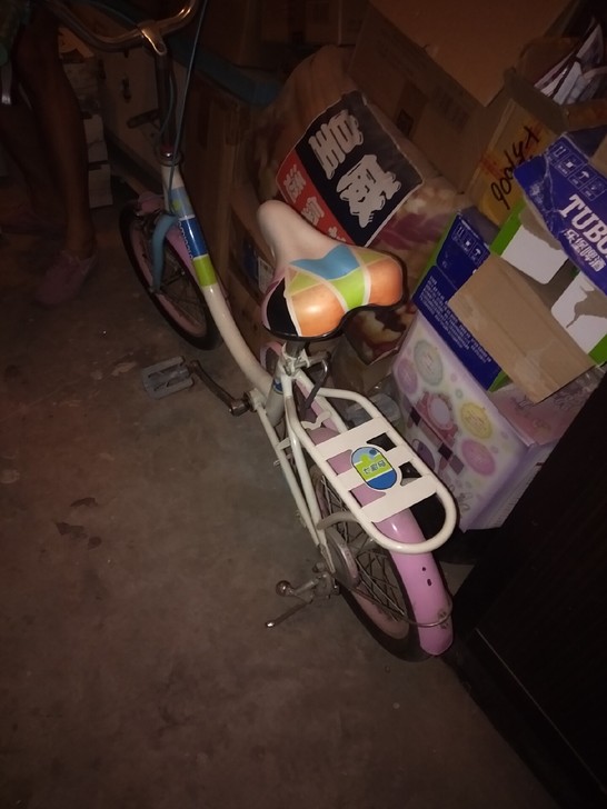 大童自行车，两轮