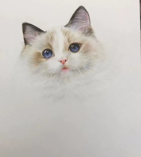 素描画代画人物纯手绘定制铅笔自画肖像画彩铅...