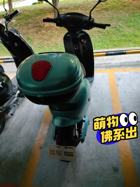国标电动车,锂电池,续航40公里打底!正规...
