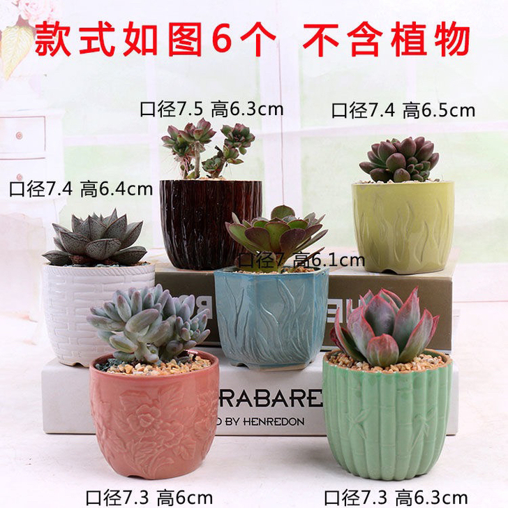 6个浮雕多肉花盆陶瓷仅8.99元 限时特价...