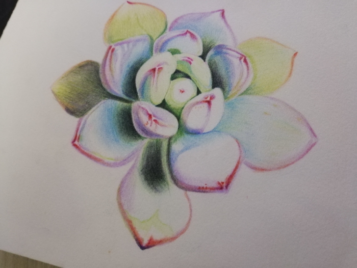 32k水溶性彩铅画,名字:多肉君