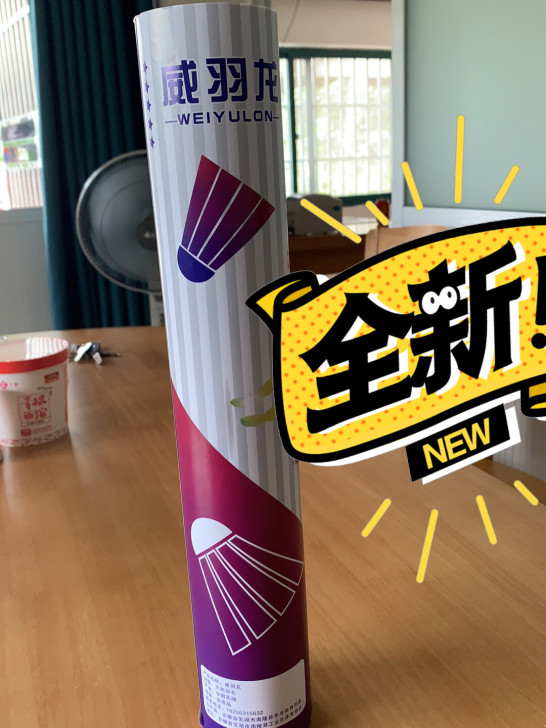 羽毛球威羽龙!这款球全新12只!适合新手打...
