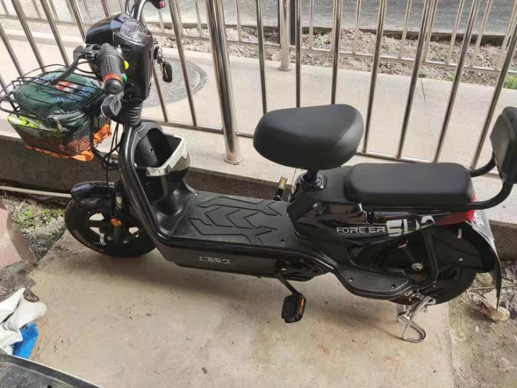 永久电动车 48v 新国标 铅酸电池