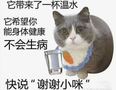 C/C++,Python 国外大学课程与实...