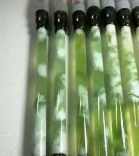 岫玉毛笔，高端大气 感兴趣的话点“我想要”...