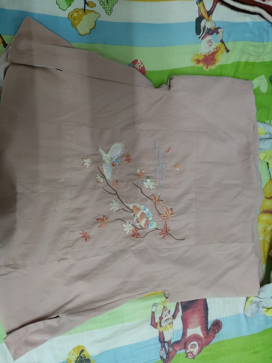 池夏 徽韵兰心:衔秋改良汉服明制方领袄裙补...