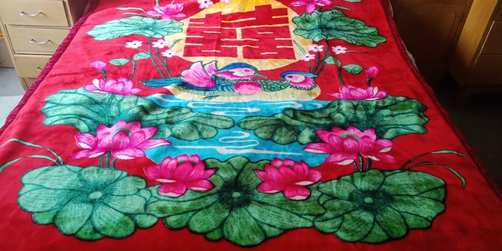 毛毯双面花,厚,150*200,不包邮,二...