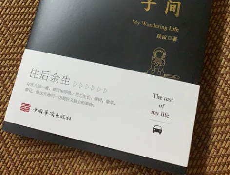 《我在人间凑数的日子》 九成新 未写名字 ...