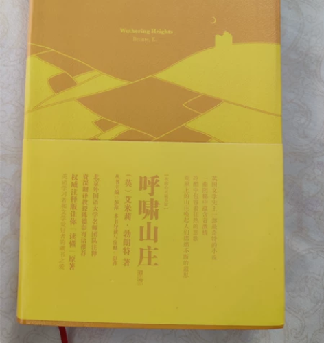 《呼啸山庄》英文版,全新。因搬家不便,想低...