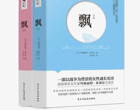 飘 上下无删节全译本 原版正版中文版世界