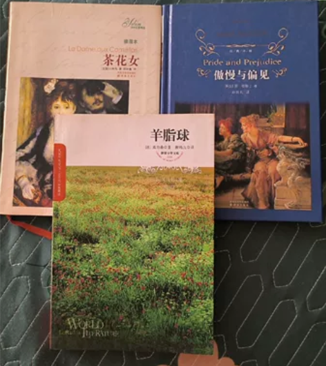 《茶花女》《羊脂球》《傲慢与偏见》 三书合...