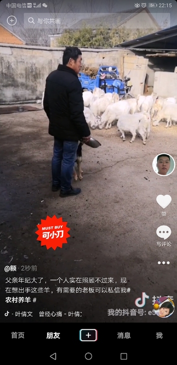 定远县农村散养的羊，大小共30多只，父亲年...