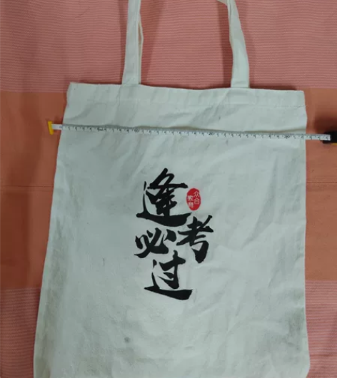 众合 法考 司法考试 逢考必过 竹马 帆布...