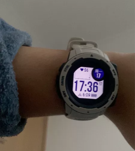 Garmin/佳明 户外功能手表：本能 。...
