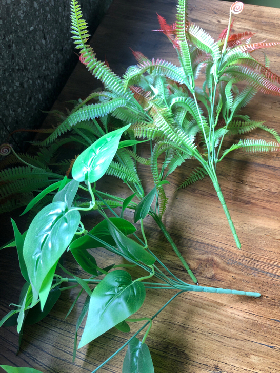 绿植单草，5元一支，有30-40只左右。自...