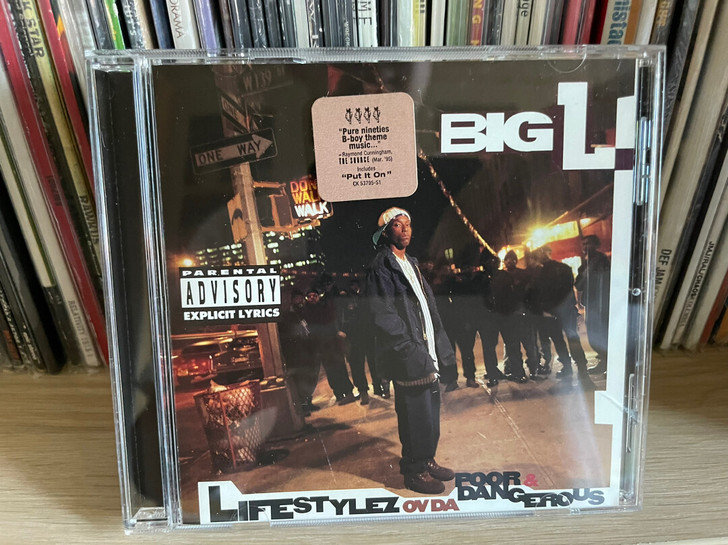 Big L ##amp；lrm；Lifes...