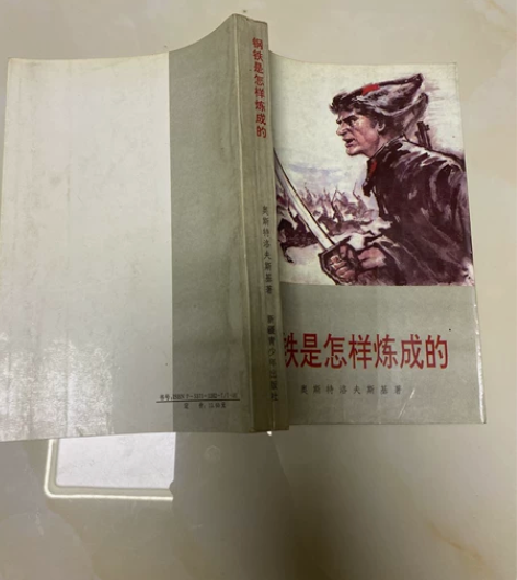 钢铁是怎样炼成的 感兴趣的话点“我想要”和...