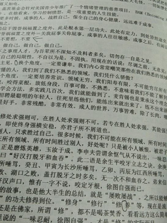 成事 说明书