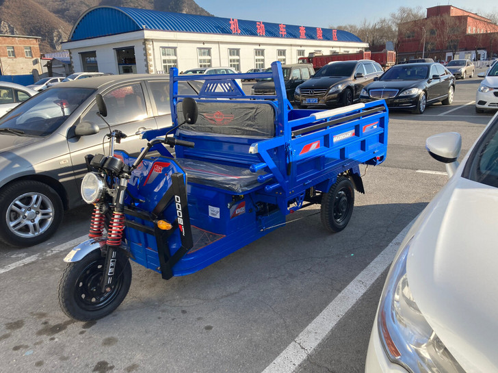 宝岛上牌车 1.8米长1.2米宽。60ｖ1...