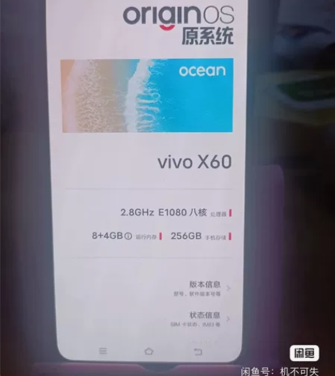 vivo X60   5g网络，8+256...